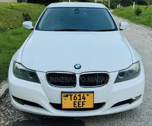 BMW 3 Series 2010 Pearl