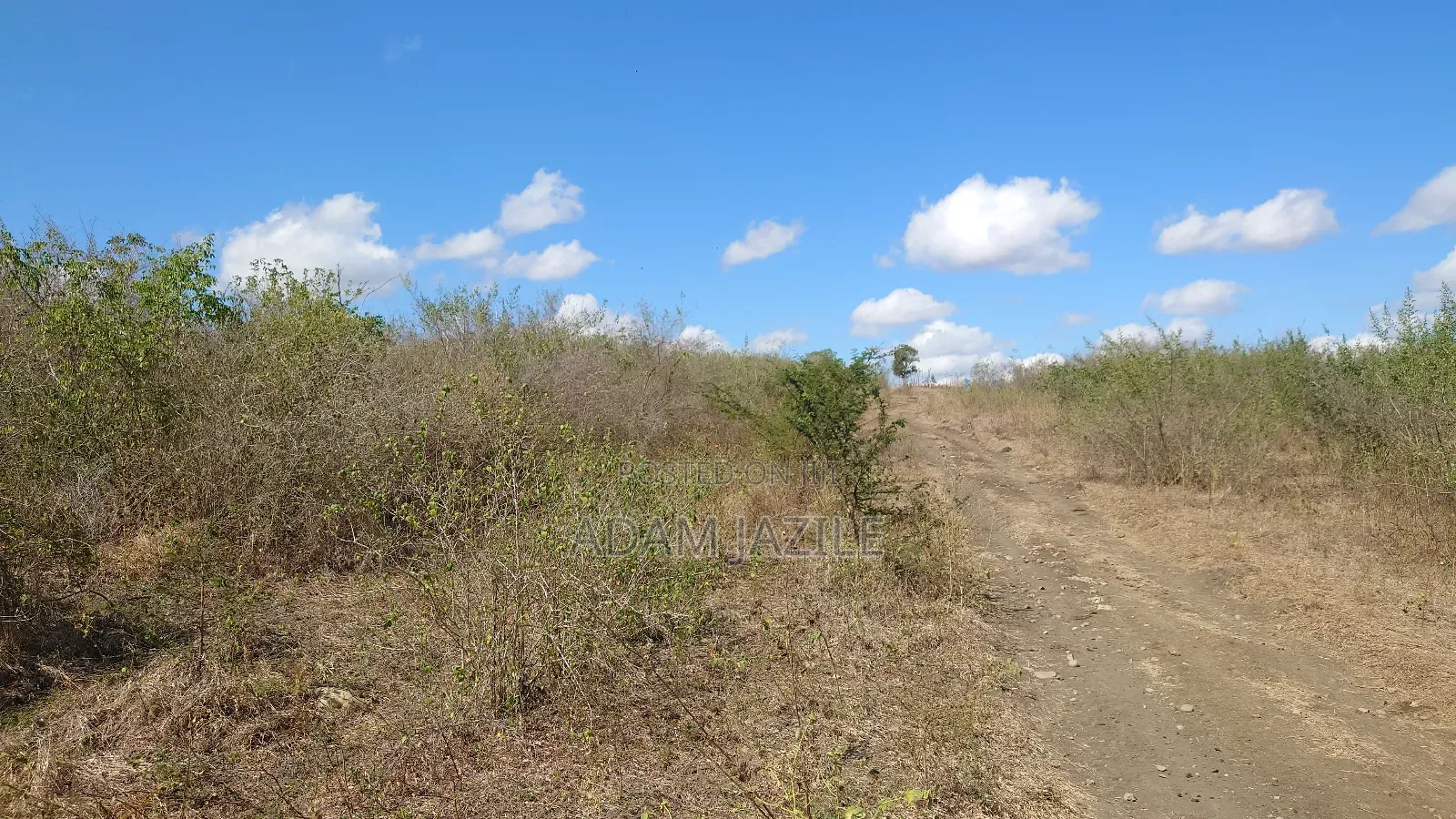 Shama La Ekari 20 Linauzwa Bagamoyo