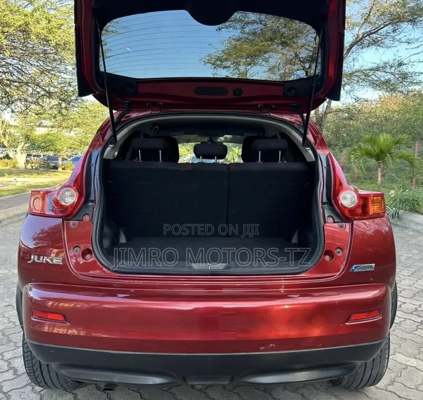 Nissan Juke 2011 Red
