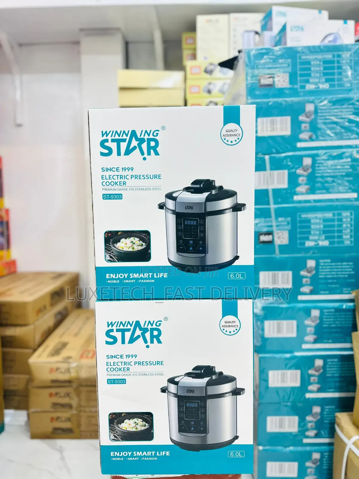 Winning Star Electric Pressure Cooker 6 Liters