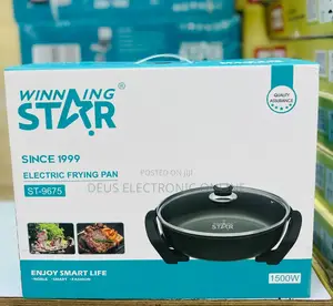 :Eletric Frying Pan*