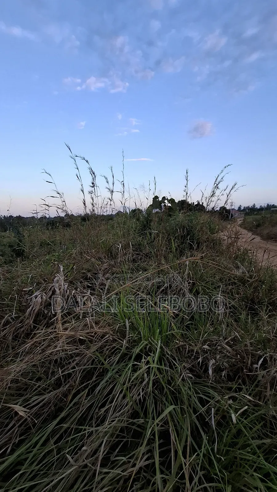 1hector at Vikawe Very Potential Area