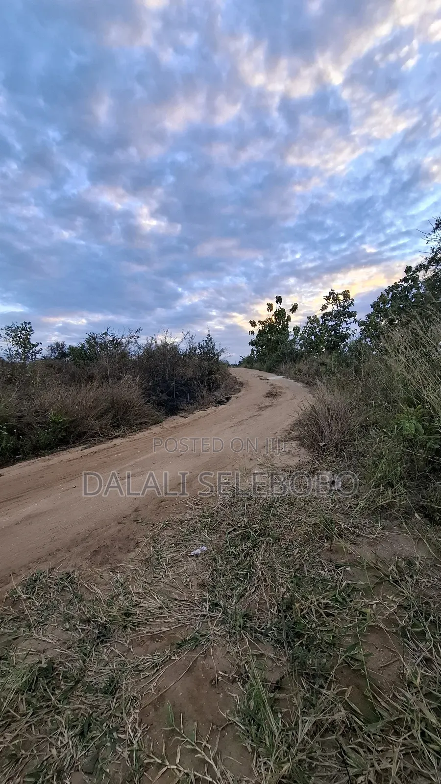 3hector at Vikawe Bagamoyo Mwanzoni