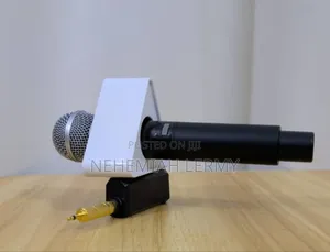 Microphone + Logo Box
