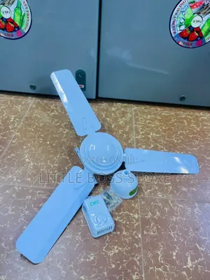 Panga Boi Fan(Feni) Size 36