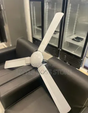 Roch Panga Boi Fan (Feni) Size 56