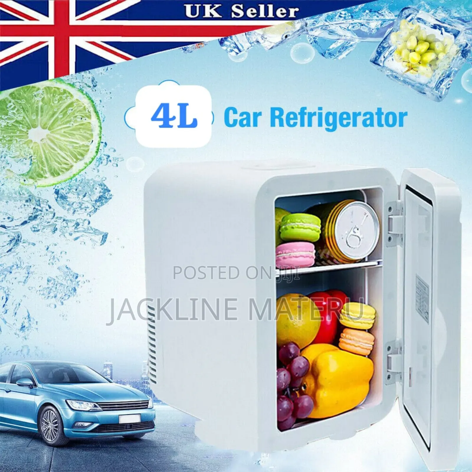 Min Car Refrigerator 4l