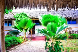 Second Line Beach Hotel for Rent at Zanzibar