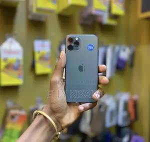 Apple iPhone 11 Pro Max 256 GB Black