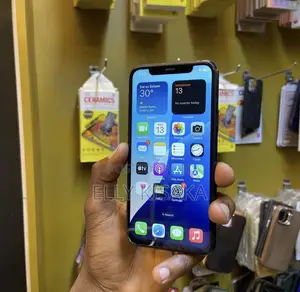 Apple iPhone 11 Pro Max 256 GB Black