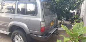 Toyota Land Cruiser 1995 Gray
