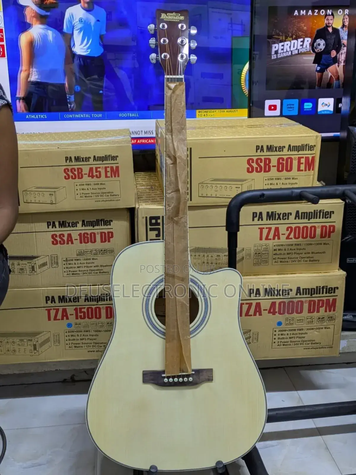 Acoustic Guitar 