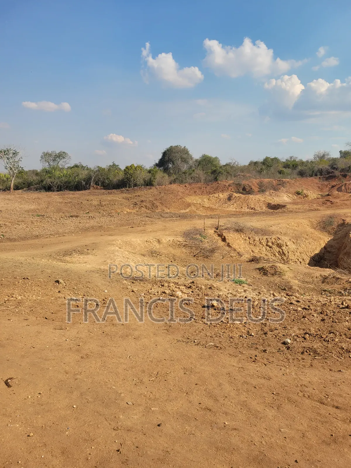 Gold Mining Licensed Mega Farm