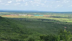 Gold Mining Licensed Mega Farm