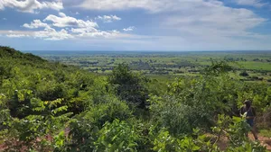 Gold Mining Licensed Mega Farm