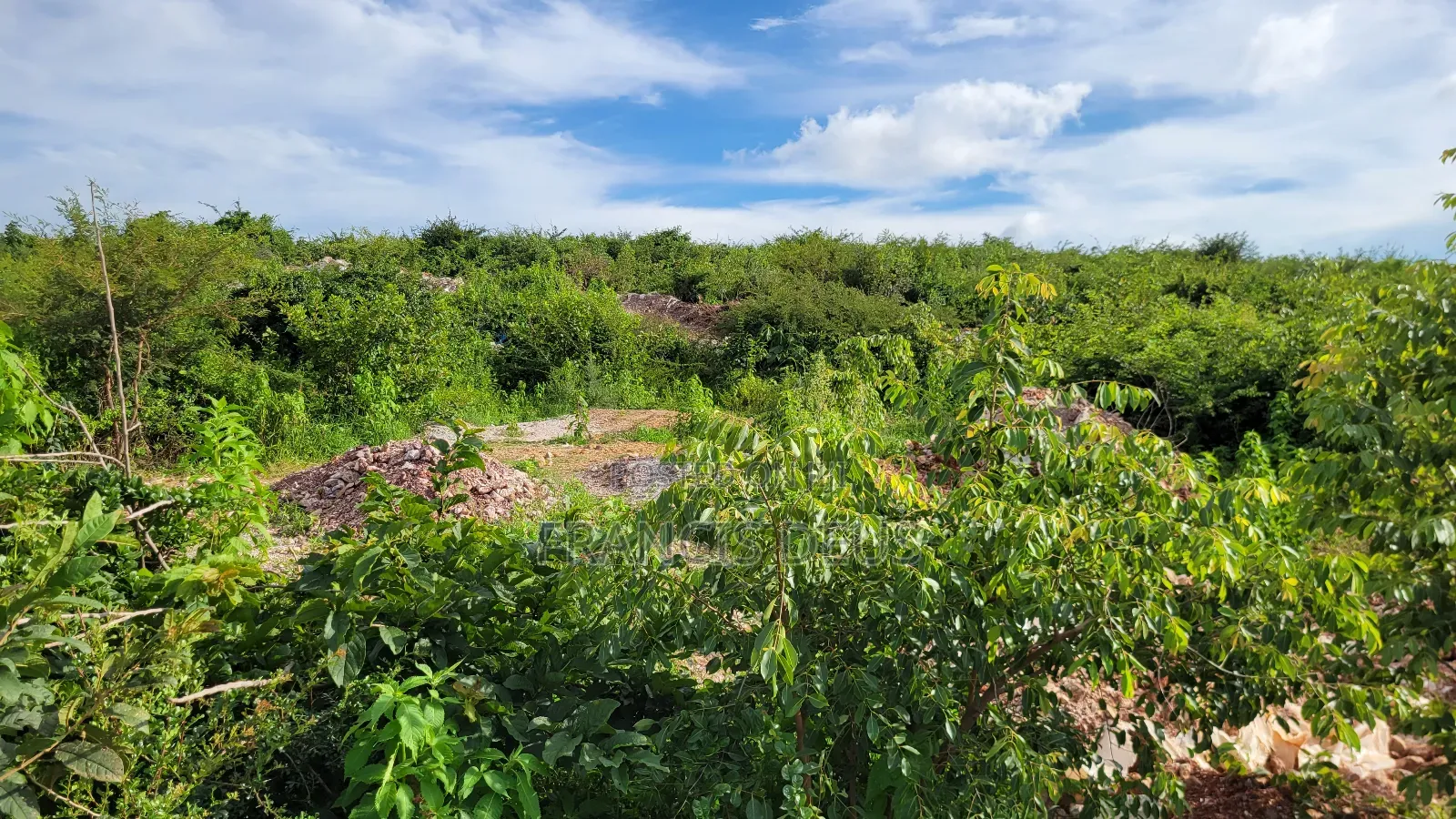 Gold Mining Licensed Mega Farm