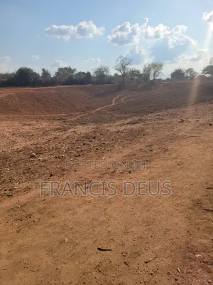 Gold Mining Licensed Mega Farm