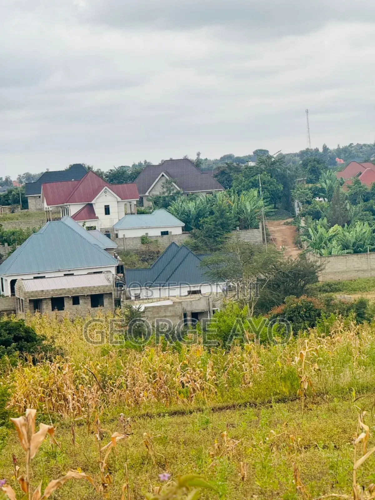 Wauzaji Wa Viwanja Arusha Na Kilimanjaro