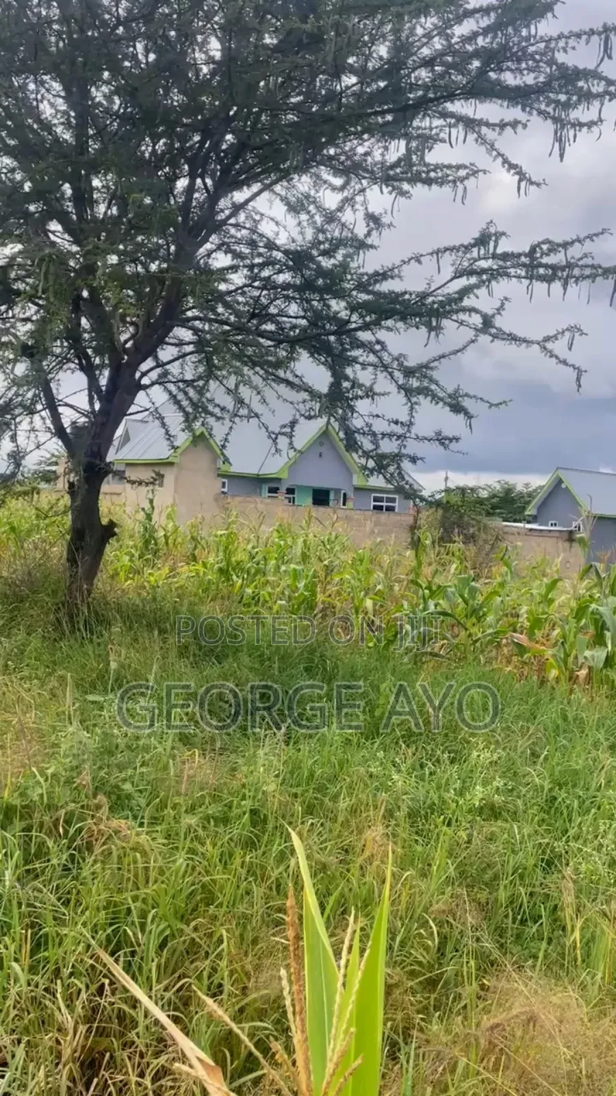 Plot for Sale Ngaramtoni