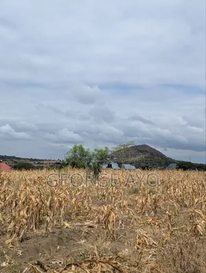Viwanja Vyenye Mandhari Tulivu Kwa Makazi