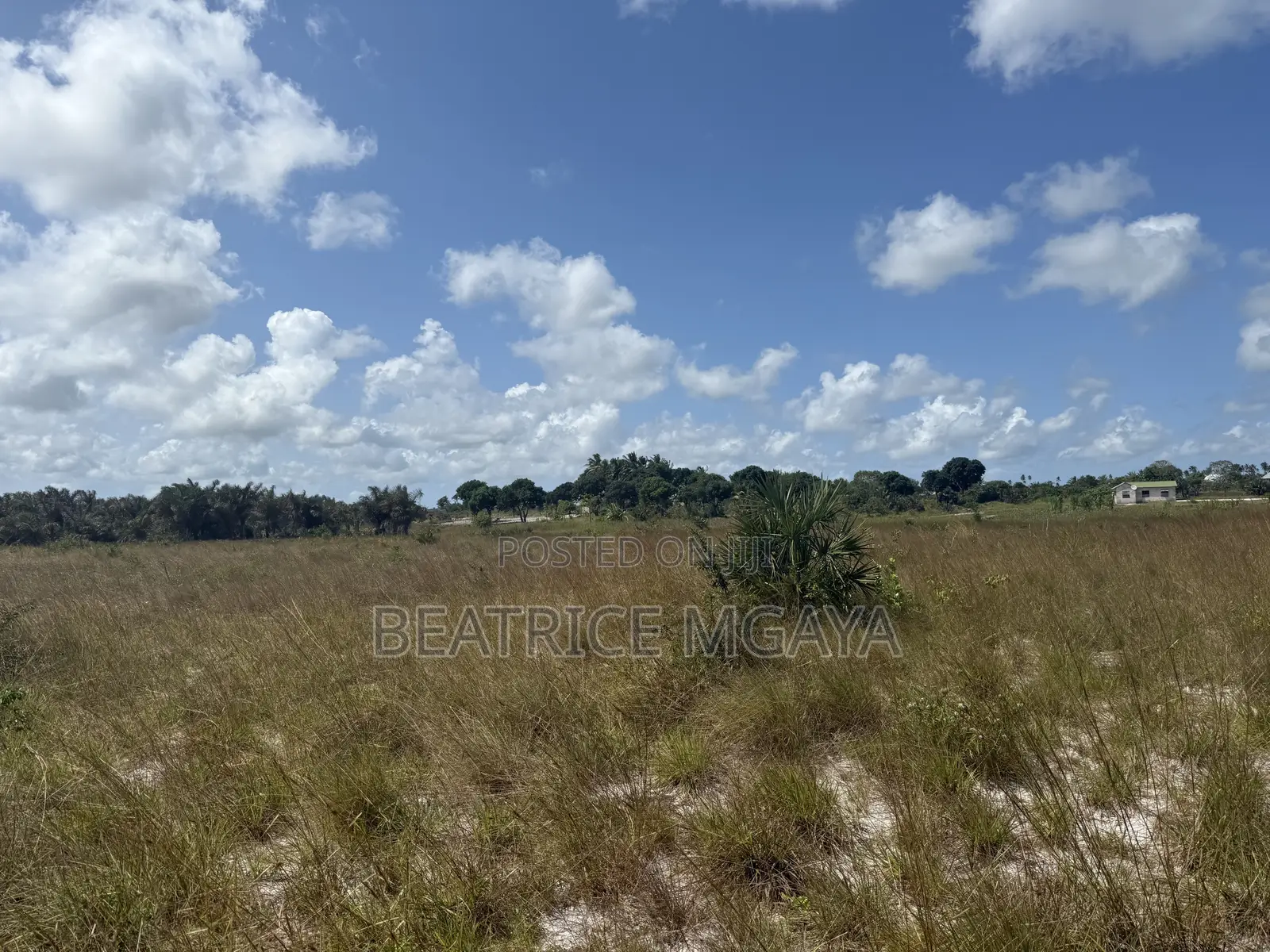 Plot for Sale-Kabusungu Mwanza