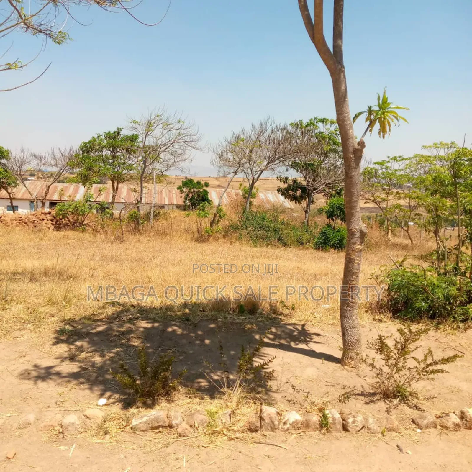 10bdrm House in Sumbawanga for sale