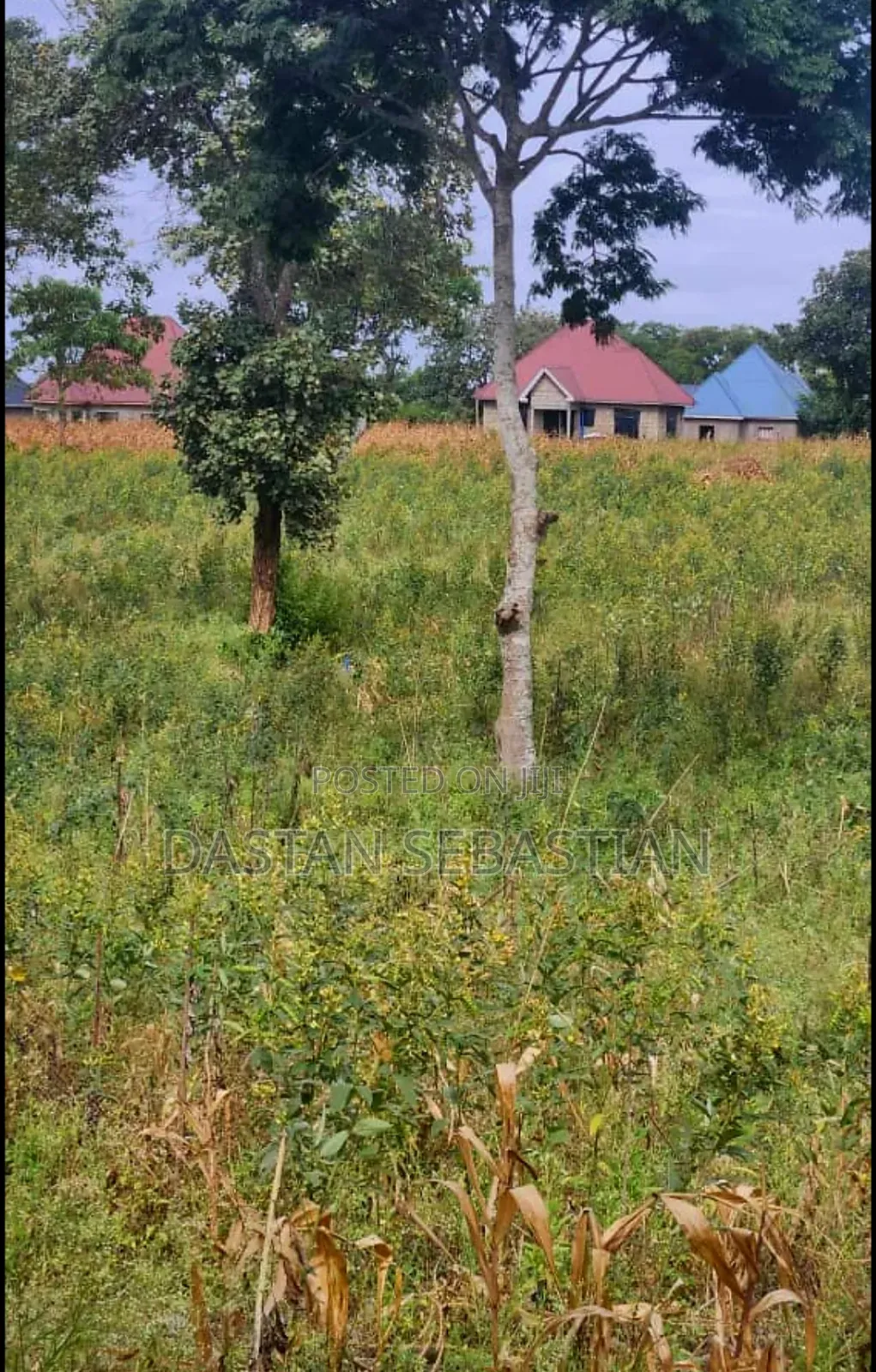 Inteli Bei Kitonga