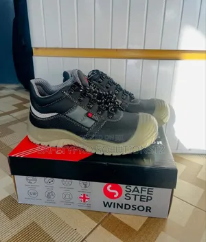 Safe Step Windsor