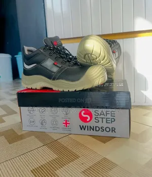 Safe Step Windsor