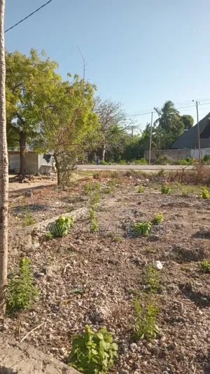 Commercial Plot for Sale at Jambiani Zanzibar