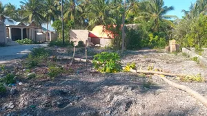 Commercial Plot for Sale at Jambiani Zanzibar