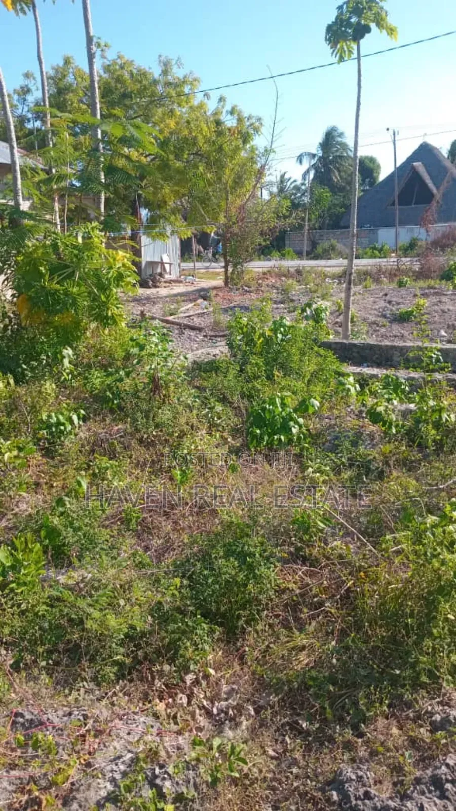 Commercial Plot for Sale at Jambiani Zanzibar