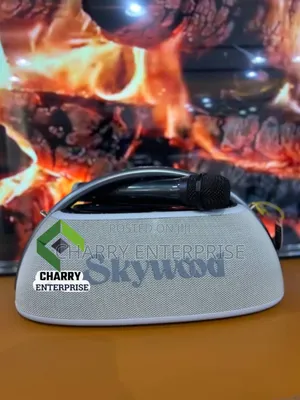 Skywood Boombox2 Speaker Water Proof 80w Rechargeable With Karaoke Mic