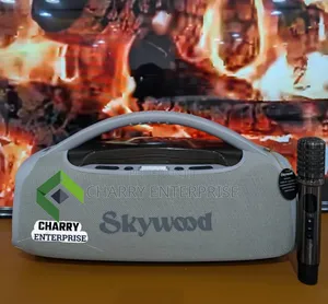 Skywood Boombox3 Rechargeable Soundbox 24e 120w Water Proof With Mic
