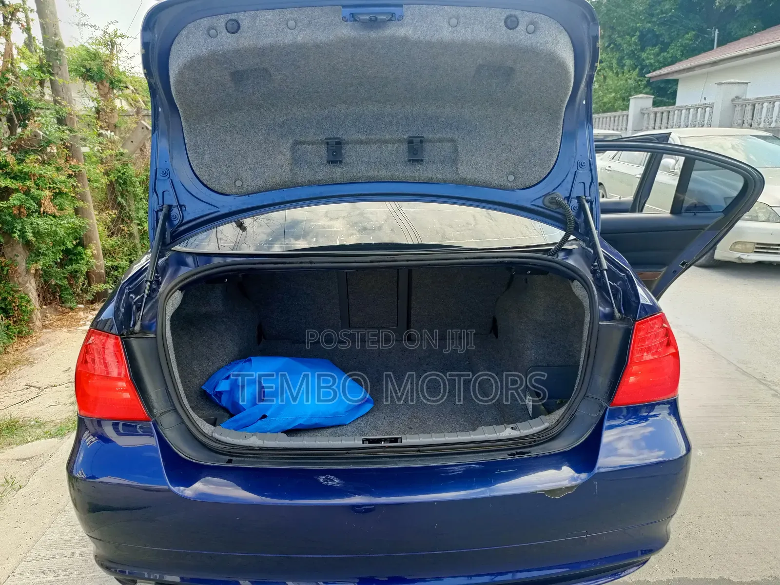 BMW 3 Series 2012 Blue