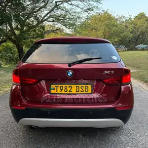 BMW X1 2010 Burgundy