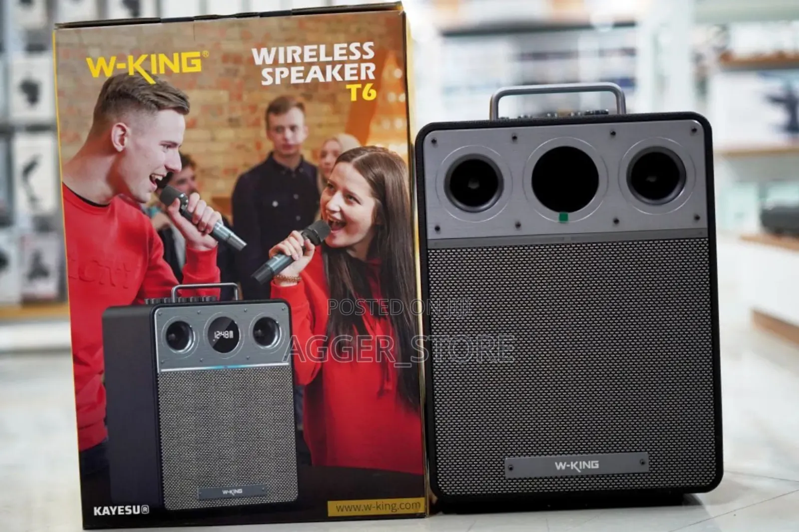 Wking T6 Portable Speaker