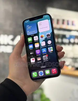 New Apple iPhone 12 Pro Max 128 GB Gray