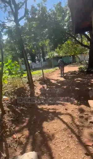 Plot for Sale in Oyster Bay Dar-Es-Salaam Tanzania
