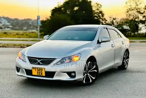 Toyota Mark X 2009 Silver