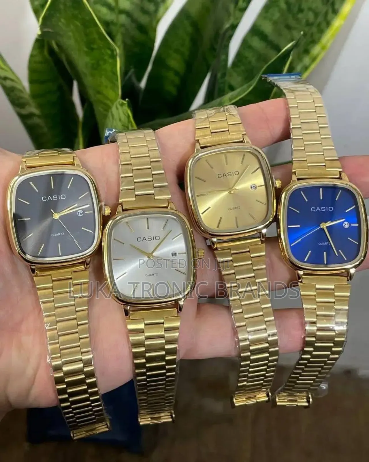 Cassio Watch