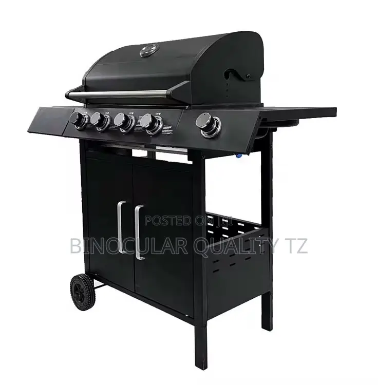New !! Outdoor BBQ Gas Gril With Trolley