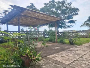 4bdrm House in Msasani for rent