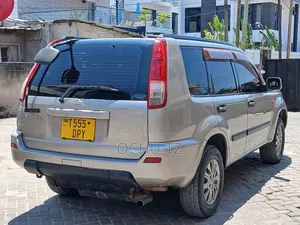 Nissan X-Trail 2003 Silver