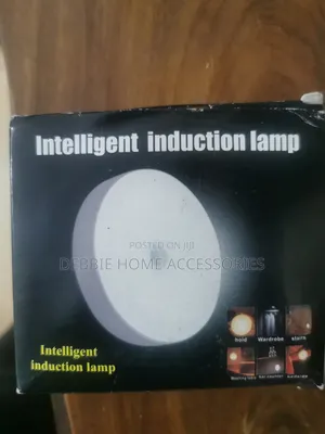 Intelligent Induction Lamp