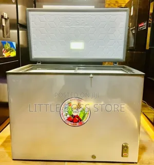 SPJ Freezer 300l