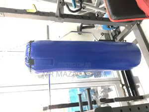 Hanging Punch Bag