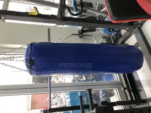 Hanging Punch Bag