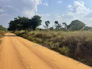 Shamba La Kulima Nanasi Linauzwa