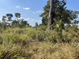 Shamba La Kulima Nanasi Linauzwa